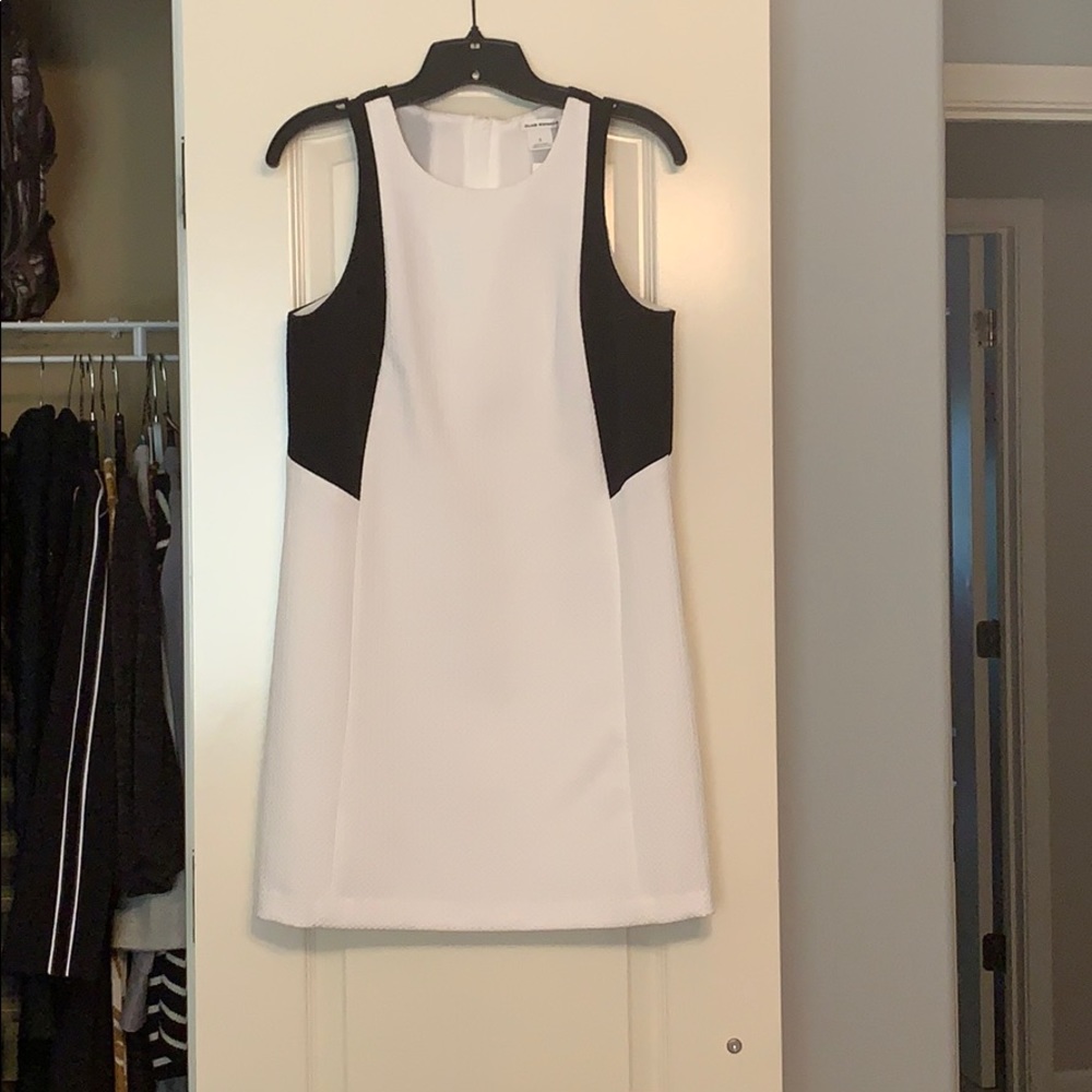 Club Monaco Dress